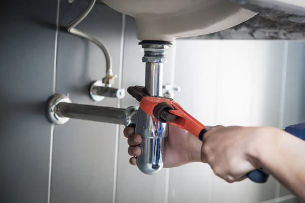 Professional Plumber in Reese, MI